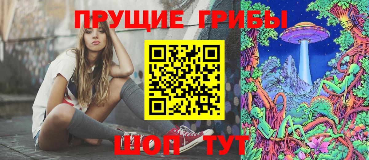 Галлюциногенные грибы Psilocybe  Вход с VPN  Зима 